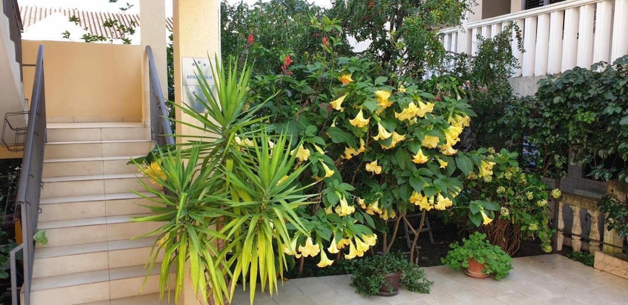 Villa Rihter Budva Ngoại thất bức ảnh